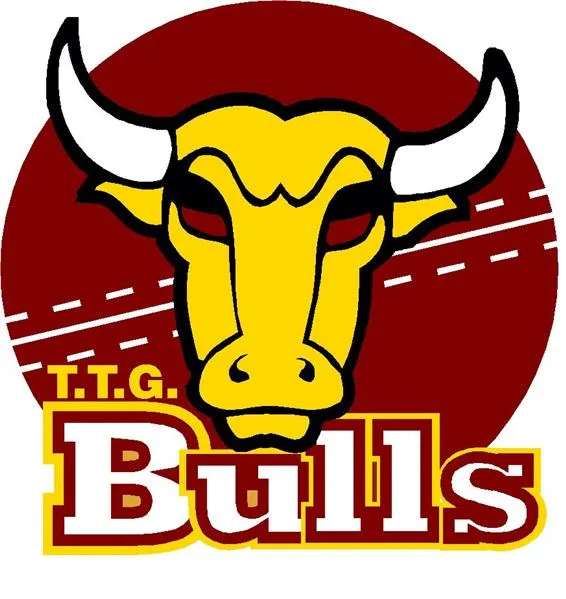 Tea Tree Gully District Cricket Club
