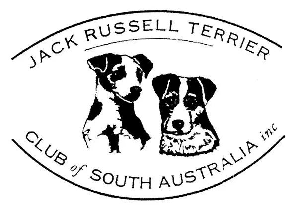 Jack Russell Terrier Club of SA Inc