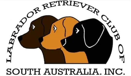 Labrador Retriever Club of South Australia Inc.