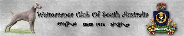 Weimaraner Club of SA Inc.