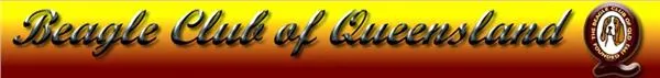 Beagle Club of QLD