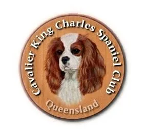 Cavalier King Charles Spaniel Club QLD
