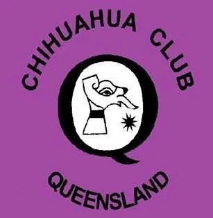 Chihuahua Club of Qld