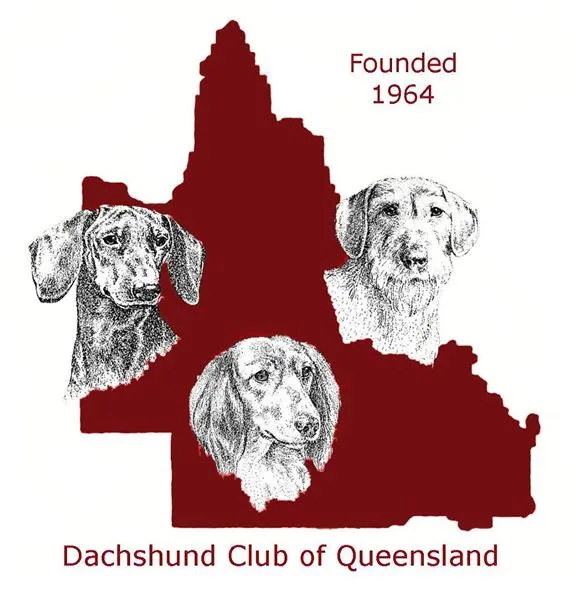 Dachshund Club of Queensland