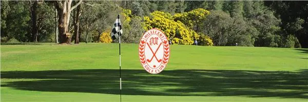 Millicent Golf Club 