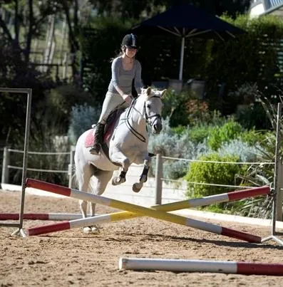Kirkley Hill Equine Management