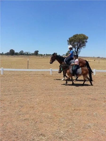Chittering Gully Stud
