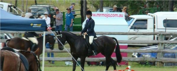 Envy Horse Breaking Services