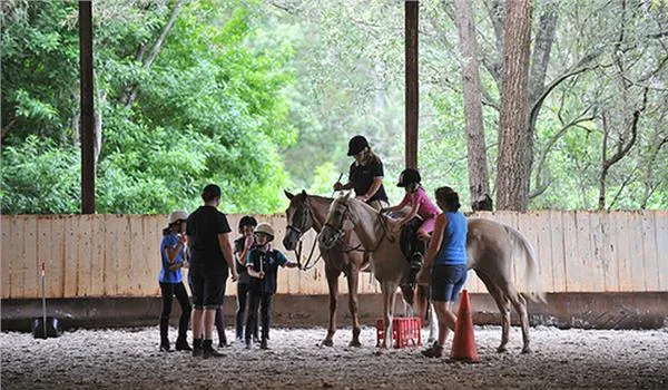 Dalson Park Indoor Equestrian Centre