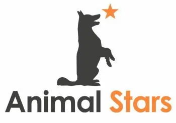 Animal Stars
