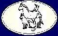 Animal Education