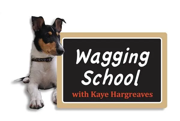 Wagging School
