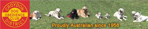 Croydon & District Obedience Dog Club Inc