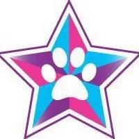Southern Cross Animal Stars