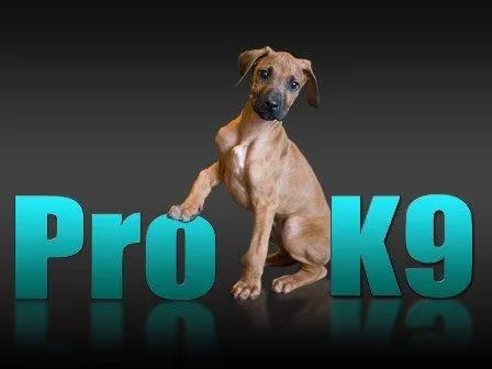 Pro K9