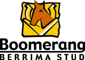 Boomerang Berrima Stud