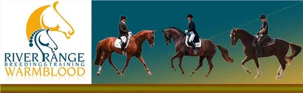River Range Warmblood Stud