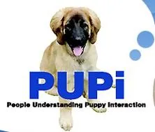 Pupi