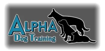Alpha Dog Training