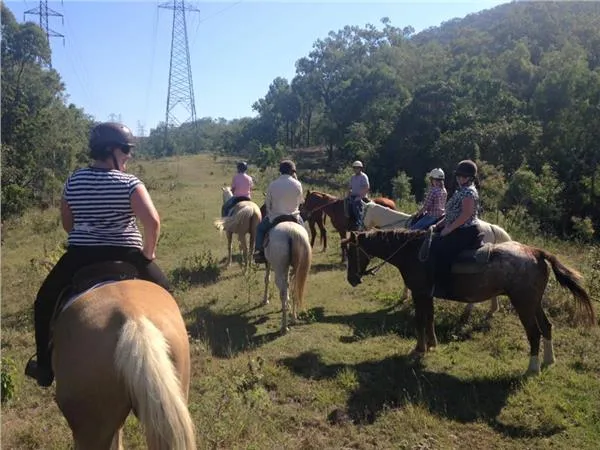 Stoney Creek Farm Stay