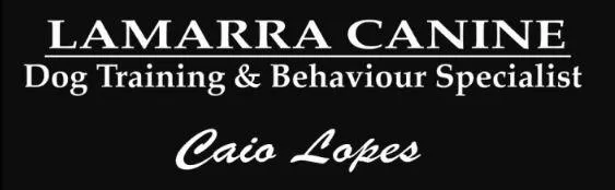 Caio Lopes Lamarra Canine Dog Training