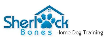 Sherlock Bones