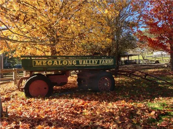 Megalong Valley Farm