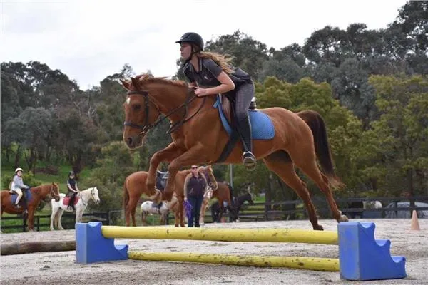Warranwood Equestrian Centre