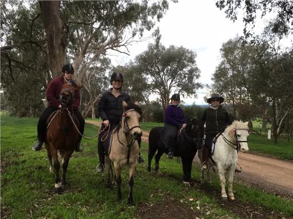 Jane Galbally's Horse Riding Services