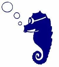 Surrey Park Seahorses Masters Swimming Club