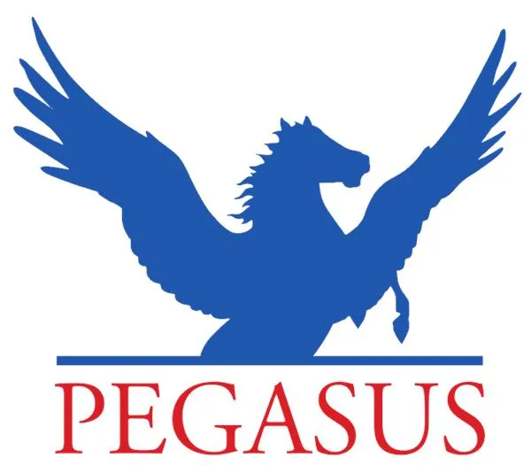 Pegasus Riding For The Disabled
