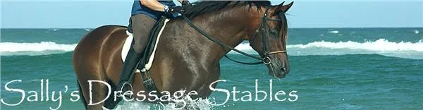 Sally's Dressage Stables