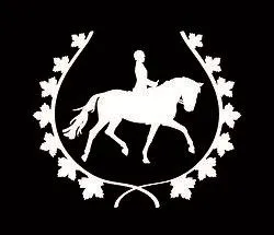 Port Macquarie Horse Riding Centre