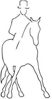 Dressage Club Of SA -