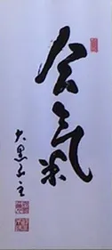 Aikido Kenkyukai International Fudoshin Dojo Sunshine Coast