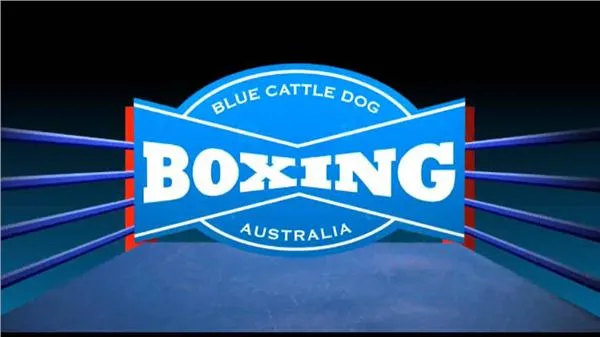 Blue Cattle Dog Boxing Gym Australia