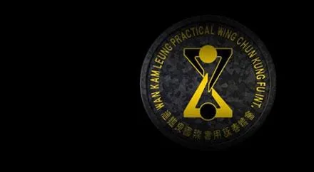 Practical Wing Chun Kung Fu
