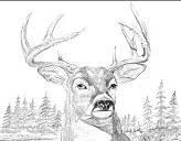 Hastings Valley Hunting Club