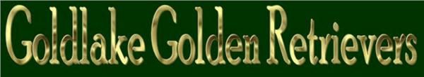 Goldlake Golden Retrievers