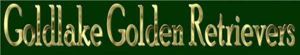 Goldlake Golden Retrievers