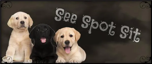 See Spot Sit