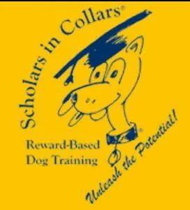 Scholars In Collars
