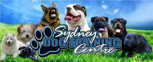 Sydney Dog Training Centre