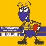 Bulleen Bullants