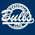 Bulls Baseball Club