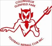 Collingullie Glenfield Park Football Netball Club
