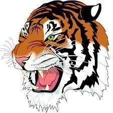 Corio Tigers Baseball Club