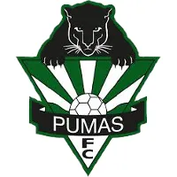Hills Pumas Football Club 