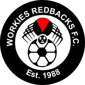 Lithgow Workmens Senior Soccer Club