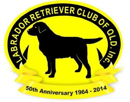 Labrador Retriever Club of Qld Inc.